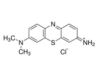 姬姆氏色素，BS 