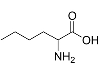 DL-正白氨酸，98%（T） 